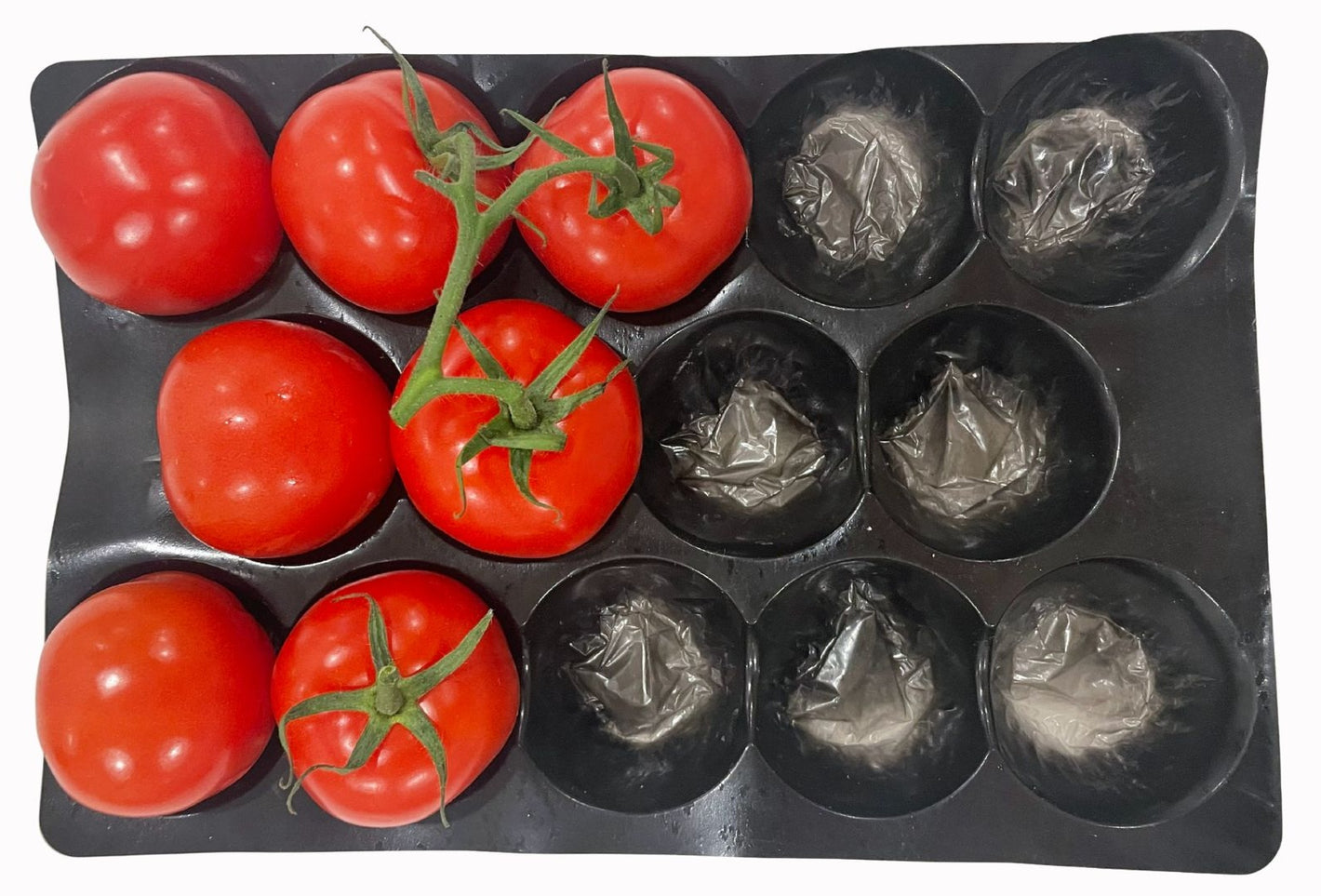 Tomato Blister Trays